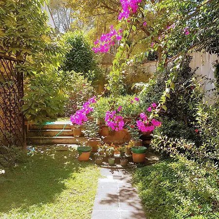 Casa Carmel Bed & Breakfast-2